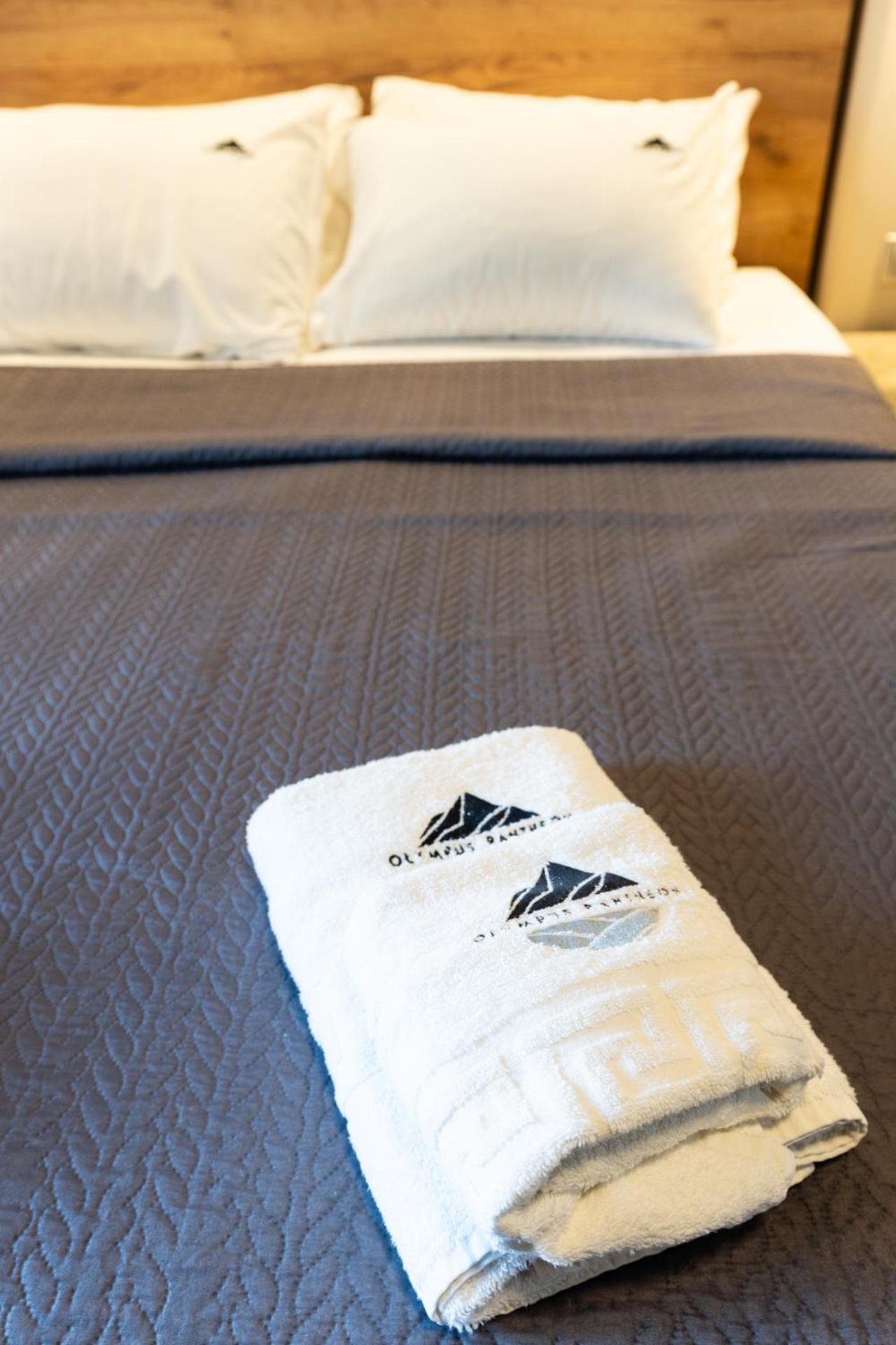 Olympus Pantheon Luxury Rooms Plaka Litochorou Exterior foto